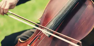 Violoncelo