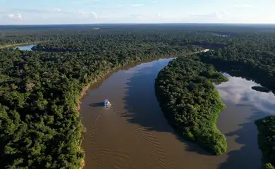 Brasília (DF) 10/10/2025 – Caminhos da Reportagem apresenta reserva na Amazônia que utiliza o extrativismo sustentável.
Frame TV Brasil