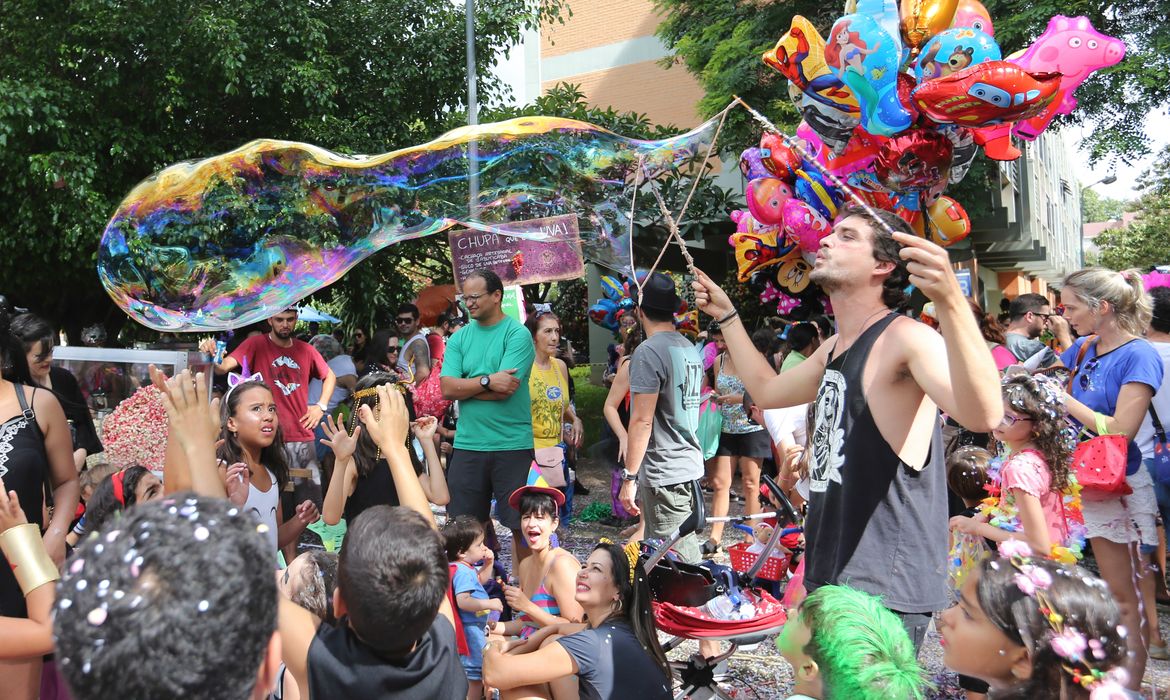 Blocos de rua animam o carnaval de Brasília