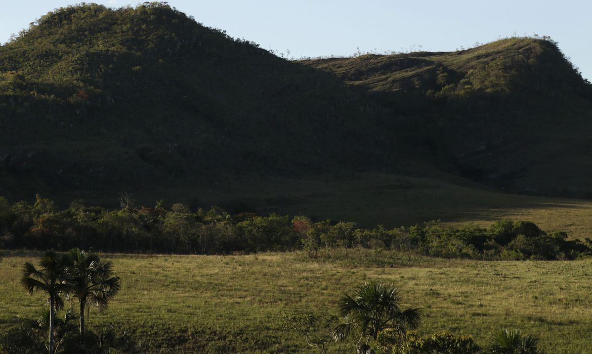 Cavalcante (GO) 12/09/2023 - Vista do cerrado na Comunidade quilombola Kalunga do Engenho II. O cerrado é um dos cinco grandes biomas do Brasil, cobrindo cerca de 25% do território nacional e perfazendo uma área entre 1,8 e 2 milhões de km2
Foto: Joédson Alves/Agência Brasil