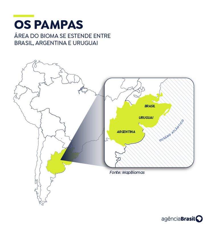 Pampa Sul-Americano perdeu 20% de vegetação campestre, diz MapBiomas. Arte: Agência Brasil