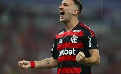 flaengo, botafogo, carioca