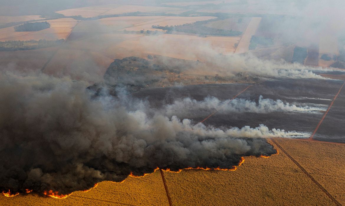 A drone view shows a fire in a sugar cane plantation near Dumon city, Brazil, August 24, 2024. REUTERS/Joel Silva