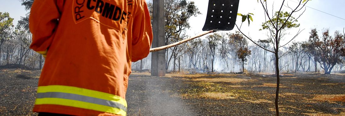 O tempo seco, o vento forte e a baixa umidade do ar no Distrito Federal, provocam queimadas