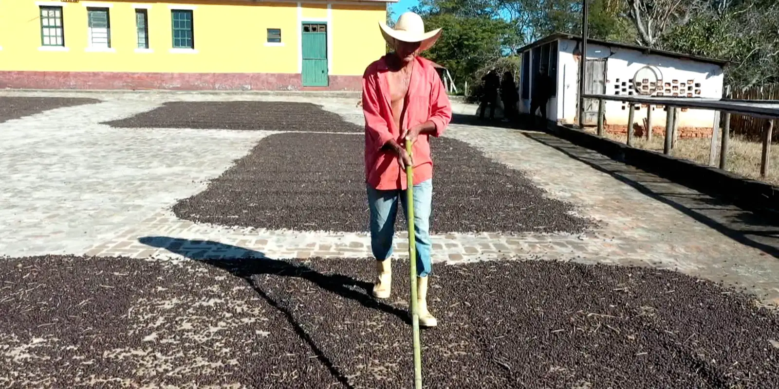 Mercosur–EU deal should benefit family farming, minister says