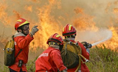 Brasília (DF) 21/11/2023 – Incêndio atinge Monte Pascoal na Bahia
Foto: Reuters