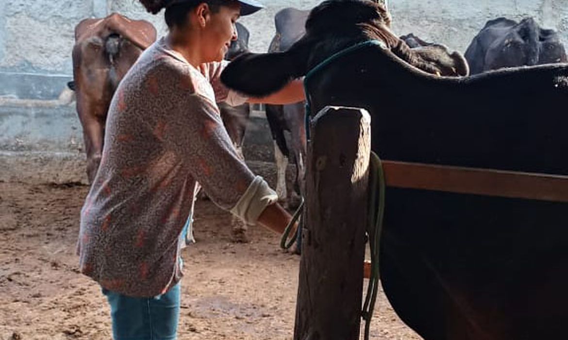 São Paulo SP) - No sertão do nordeste brasileiro, a produtora rural Rafaela Alves conta os desafios com a produção do gado leiteiro. Rafaela e sua filha Ana Luiza, na pequena propriedade de gado leiteiro em Sergipe. Foto: Arquivo Pessoal