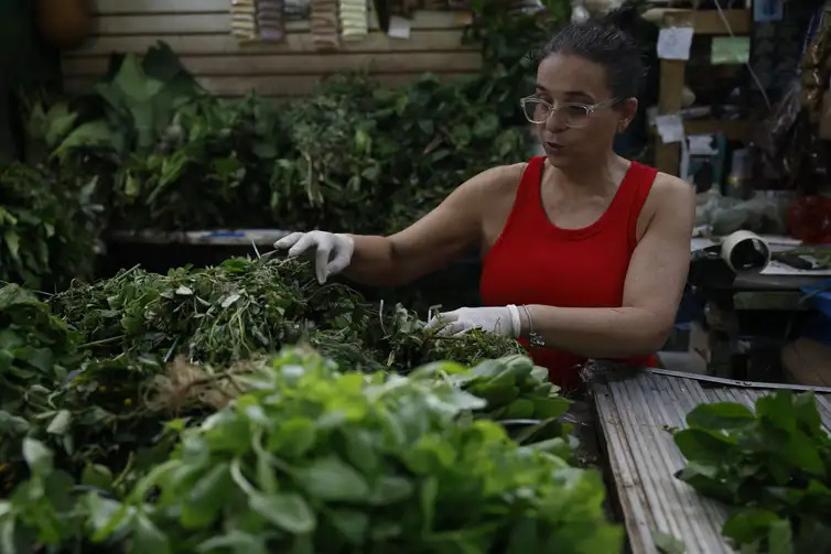 Rio de Janeiro (RJ), 16/12/2025 – Luísa de Fátima Monteiro trabalho com comércio de ervas para banhos energéticos e espirituais no Mercadão de Madureira. Foto: Fernando Frazão/Agência Brasil