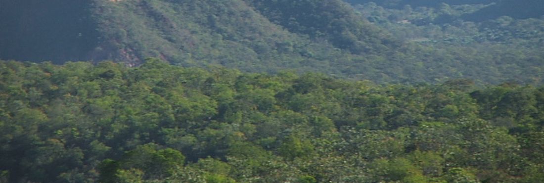 Criação do parque no município goiano de Mambaí é um marco para a conservação do cerrado numa região afetada pelas carvoarias e pelo avanço da agricultura.