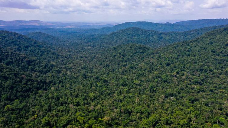 TV Brasil O vice-presidente da República, Hamilton Mourão, e os chefes de missões diplomáticas à Amazônia Oriental, fazem sobrevoo sobre a Floresta Nacional de Carajás e visita à mineradora Vale.