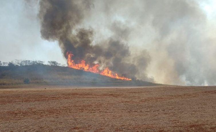 São Paulo (SP), 26/09/2024 - Incêndio em canavial. Foto: SEMIL/Divulgação