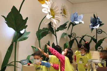 Visita da Escola Municipal de Educação Infantil (EMEI) Heitor Villa Lobos na exposição Planeta Inseto, no Museu do Instituto Biológico.