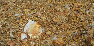 A proximidade entre as atividades de mineração e os bairros de Paracatu e a possibilidade de intoxicação por metais pesados liberados durante a extração do ouro preocupam a população