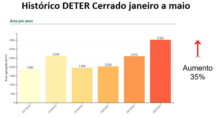 07/06/2023 - Brasília - Municípios que mais desmataram e gráfico do dado geral de desmatamento no Cerrado. No Cerrado, 24 municípios concentram metade do desmatamento. Foto: Deter/Divulgação