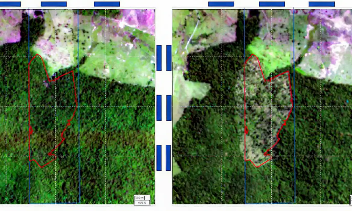 Brasília (DF) 05/02/2025 -  BNDES usa imagens de satélite para barrar empréstimo a desmatadores
Imagem satélite MapBiomas/Divulgação