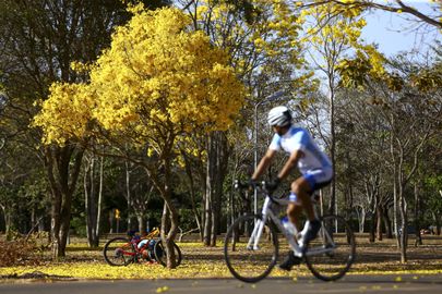 Dia Nacional do Ciclista é comemorado hoje em Brasília.