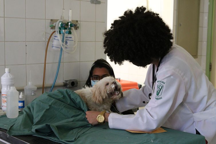 Hospital Veterinário Público de São Paulo, uma parceria entre a prefeitura e a Faculdade de Medicina Veterinária e Zootecnia da Universidade de São Paulo - USP, no Butantã.