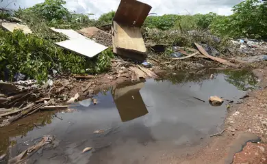 Brasília - O governo do Distrito Federal realiza, no Gama, uma campanha de combate ao Aedes aegypti (José Cruz/Agência Brasil)