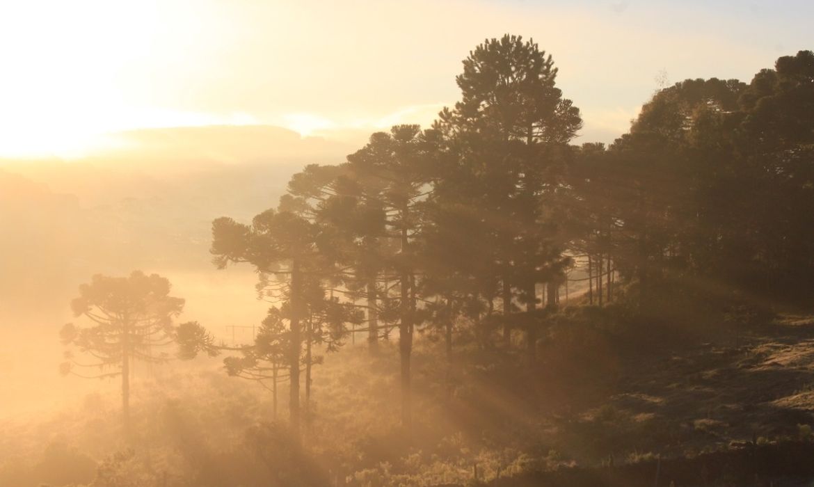 O amamancer de 28 de abril em Urupema foi  com os campos coberto de geada e os termômetros regitrando -5,4º C