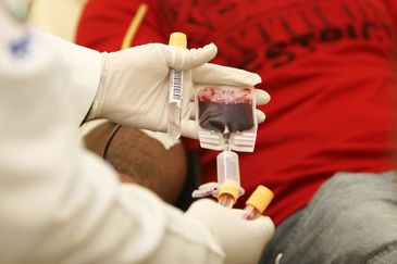 Dia Mundial da Hemofilia: campanha global celebra mulheres heroínas