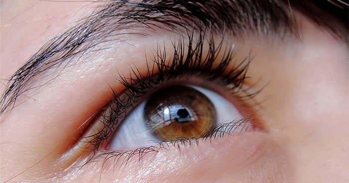 EBC | Futuro da oftalmologia é o “olho biônico”, diz professor