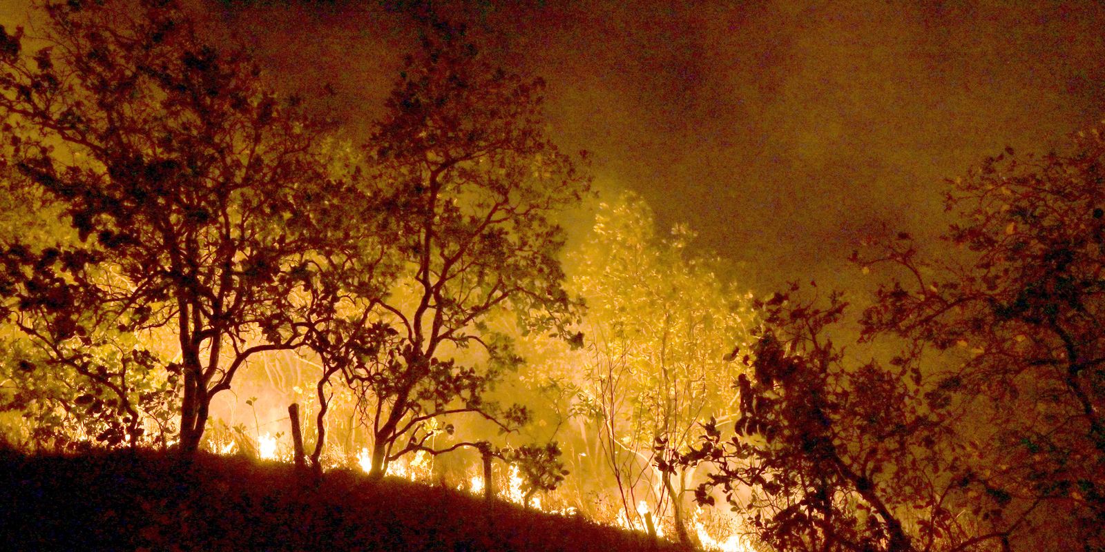 Amazonas decreta emergência ambiental devido às queimadas
