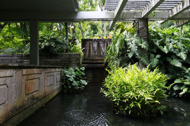 Tânia Rêgo/Agência Brasil O Sítio Roberto Burle Marx, em Barra de Guaratiba, na zona oeste do Rio de Janeiro, se prepara para a nova fase da candidatura do local a Patrimônio Mundial pela Unesco.