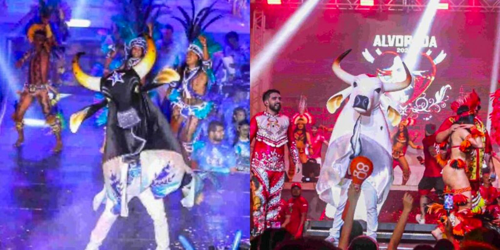 Festival de Parintins 2025: Anúncio do Vencedor Agita o Turismo Cultural do Amazonas