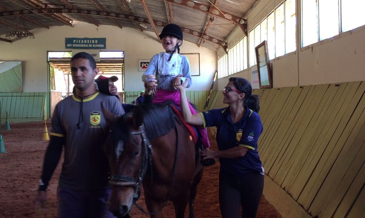 Na equoterapia, a terapia com cavalos, os animais são usados como agente para ganhos motores, emocionais, psicológicos e comportamentais