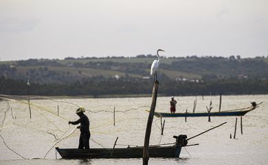 Maceió (AL) 18/12/2023  Um pescador é visto pescando na lagoa. A pesca na região foi probida após rompimento da mina n°18 da mineradora Baskem na lagoa de Mundaú.<br />
Foto: Joédson Alves/Agência Brasil