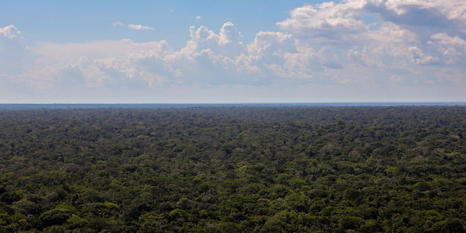 Organizações sociais propõem plano para investimentos na Amazônia