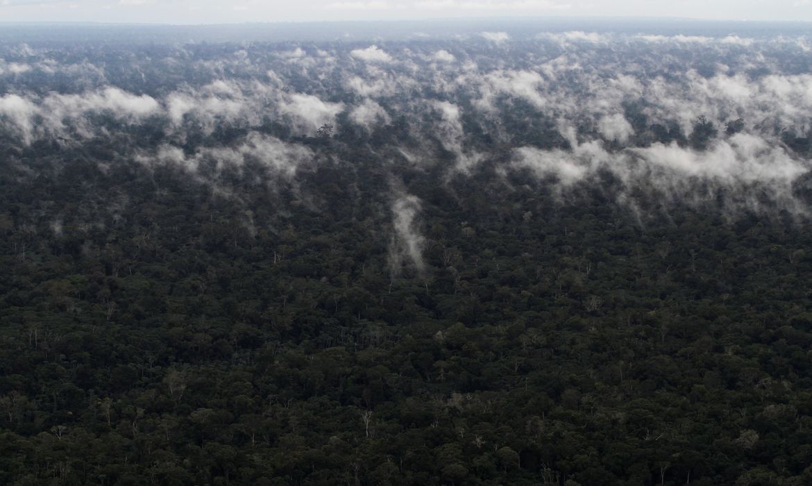 Vista aérea mostra a floresta amazônica perto da cidade de Santarém (PA)