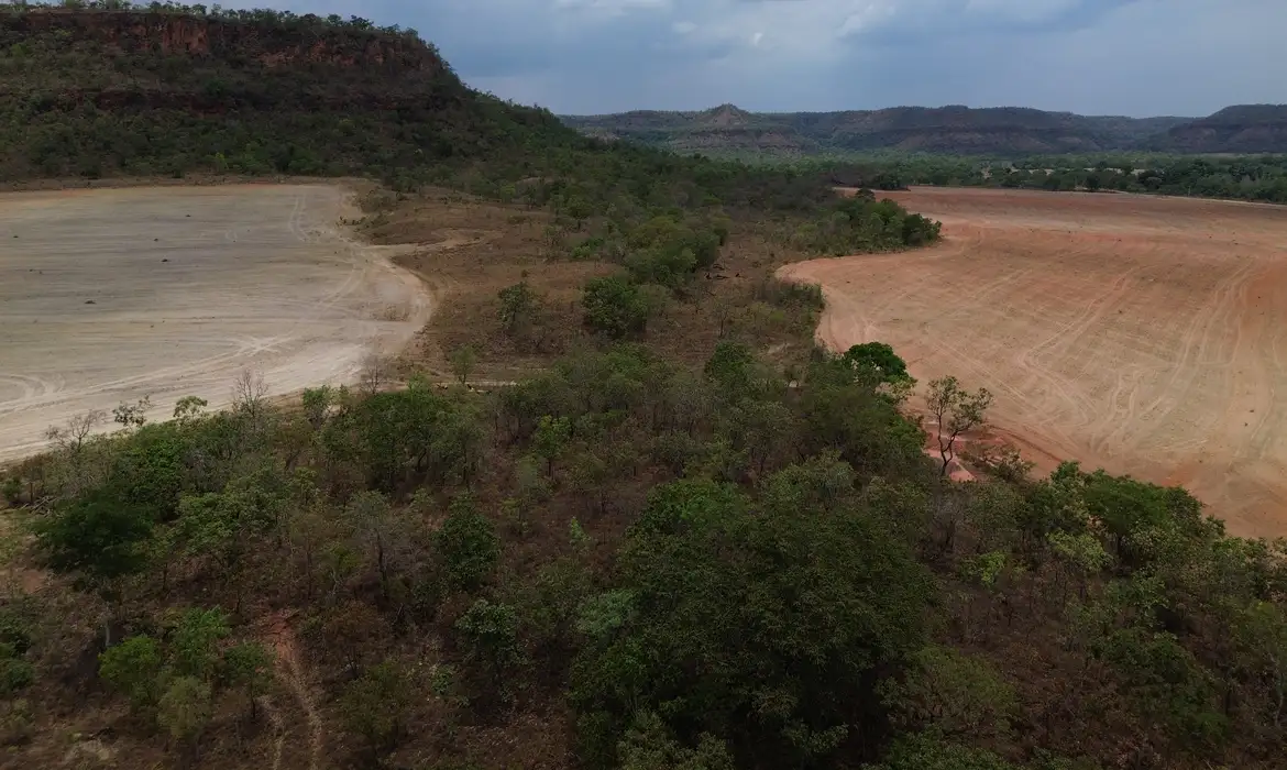 Balsas (MA), 09/10/2025 – Lavoura de cultivo de soja avança sobre a vegetação do cerrado na região do Vão do Uruçuí, nos Gerais de Balsas. Foto: Fernando Frazão/Agência Brasil