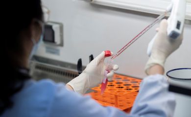 Cientista busca anticorpos para combater covid-19