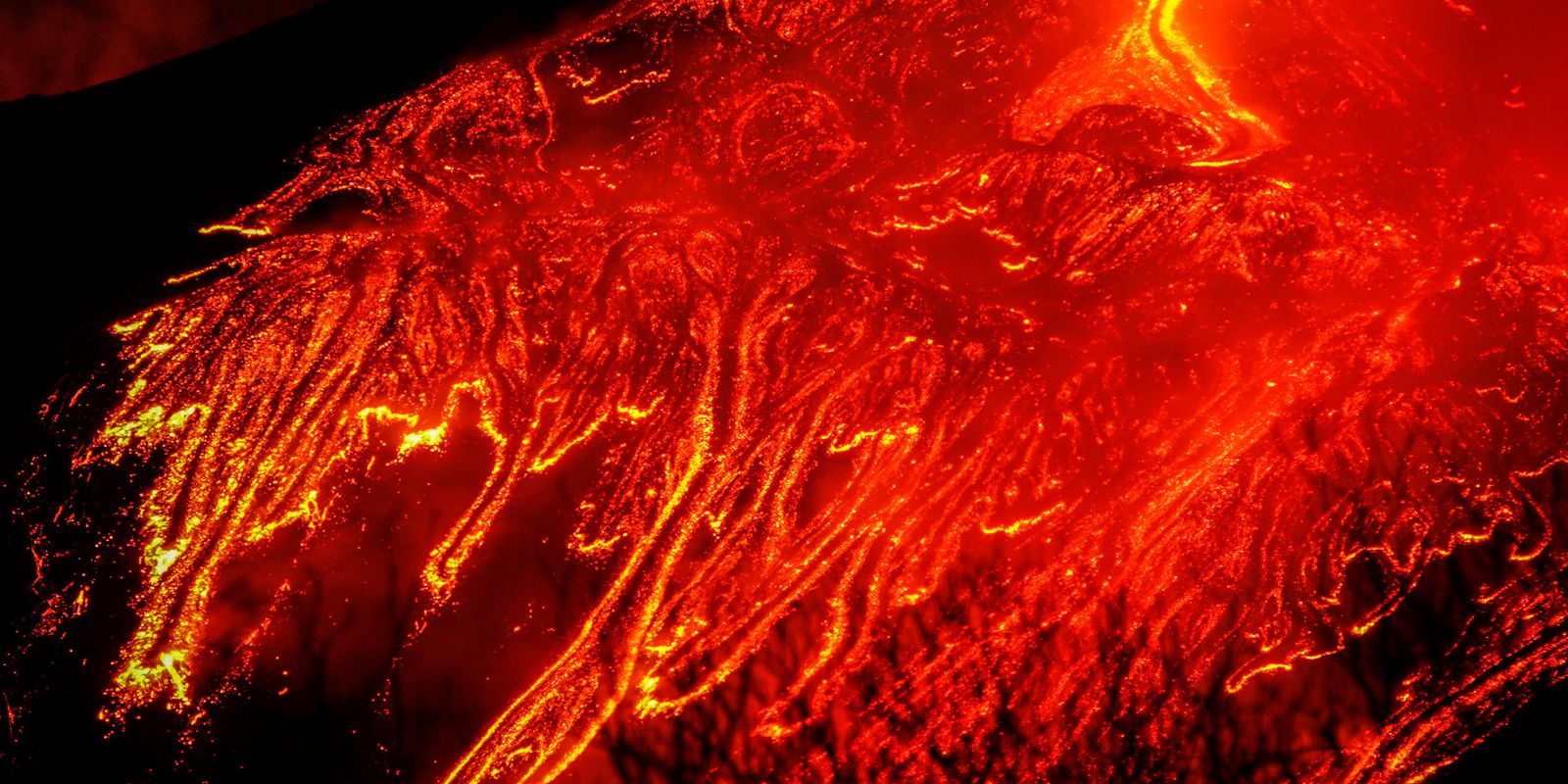 Fenômenos extremos colocam 4 mil espécies em risco de extinção Fenômenos extremos colocam 4 mil espécies em risco de extinção