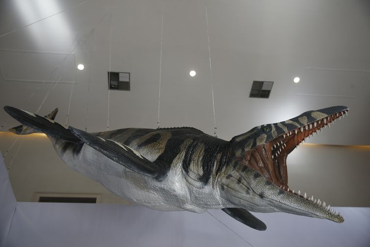  Representação de mosassauro, lagarto marinho do período Cretáceo na exposição Quando Nem Tudo era Gelo,novas Descobertas no Continente Antártico,  a primeira do Museu Nacional da UFRJ após o incêndio, abrigada no Museu Casa da Moeda do Brasil.