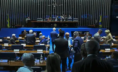 Brasília (DF), 11/06/2025 - Sessão do Senado Federal. Foto: Jefferson Rudy/Agência Senado