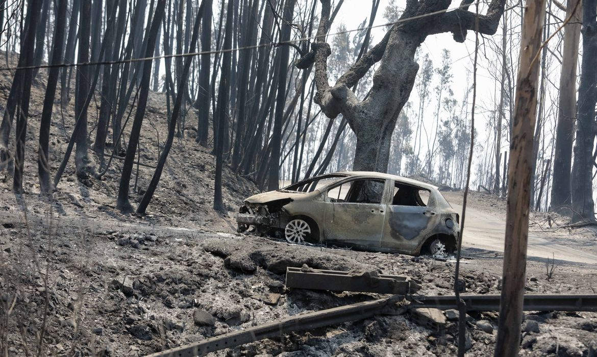 Incêndio florestal de grandes proporções atinge o nordeste de Portugal (Paulo Novais/Lusa)