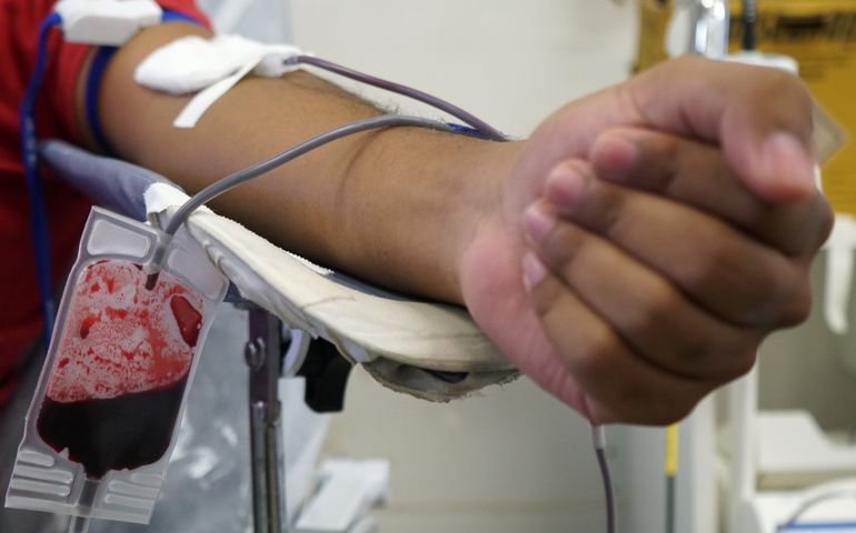 Pessoas participam de campanha de doação de sangue.