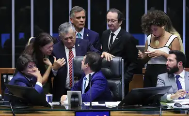 Brasília (DF), 21/05/2025  -  Câmara dos Deputados durante  sessão plenária para votar o projeto de lei (PL 1.466/2025) lei que propõe uma revisão do sistema de carreira e remuneração dos servidores públicos do Poder Executivo federal. Foto: Lula Marques/Agência Brasil