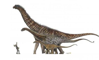 dinosaurio_mas_grande_de_brasil_-_museu_de_ciencias_da_terra.jpg