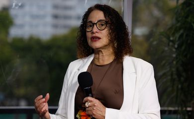 Rio de Janeiro (RJ), 06/07/2025 – A ministra da Ciência, Tecnologia e Inovação, Luciana Santos, fala com a TV Brasil durante a Cúpula de líderes do Brics. Foto: Tânia Rêgo/Agência Brasil