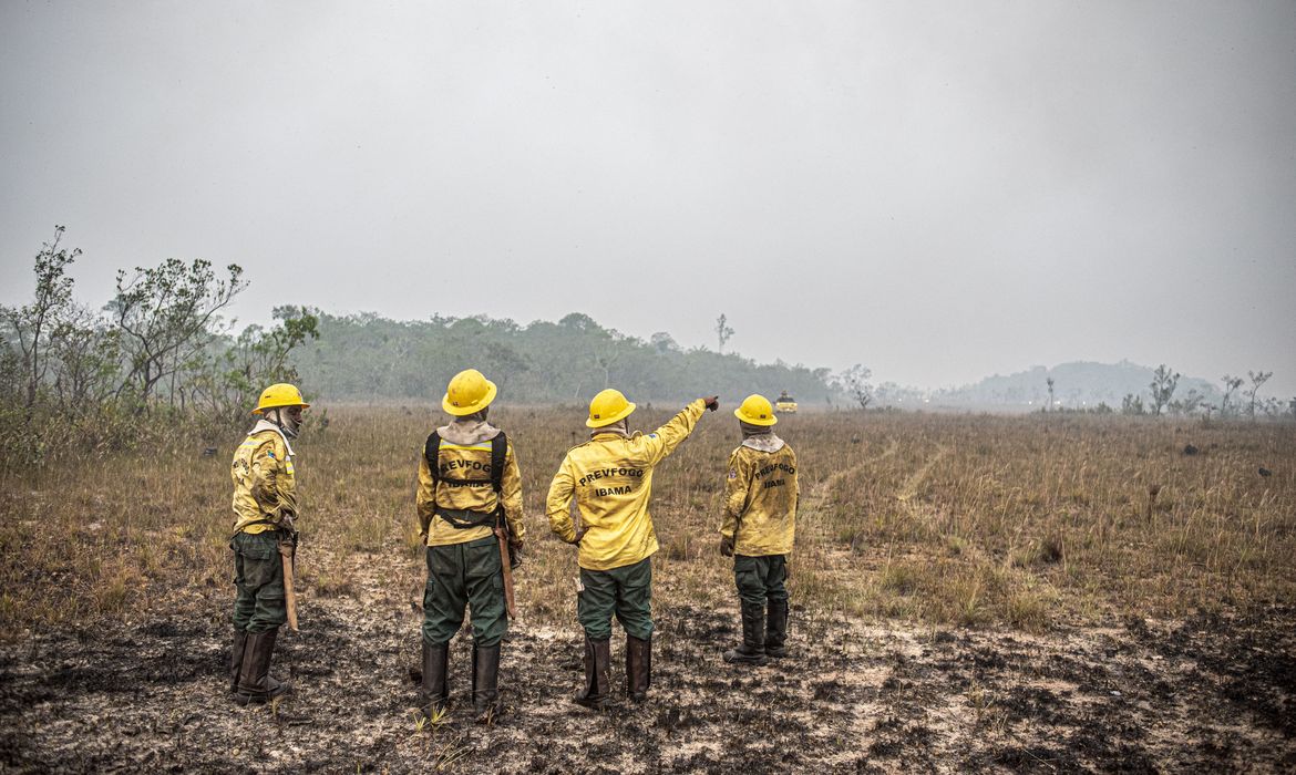 Brasília (DF) 12/09/2024 - Brigadistas do Prevfogo/Ibama e ICMBio combatem incêndios florestais na Terra Indígena Tenharim/Marmelos, no Amazonas
Foto: Mayangdi Inzaulgarat/Ibama