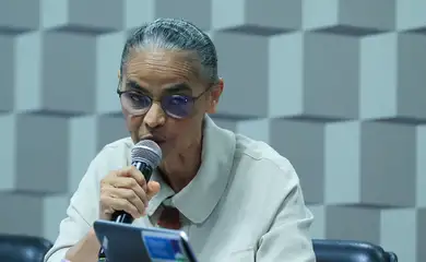 Brasília (DF) 04/09/2024 Ministra Marina Silva fala na CMA do Senado sobre queimadas no Brasil. 
Lula Marques/ Agência Brasil