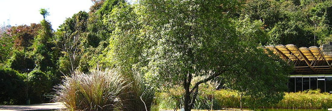 Parque das Mangabeiras (Belo Horizonte) Parque das Mangabeiras (Belo Horizonte)