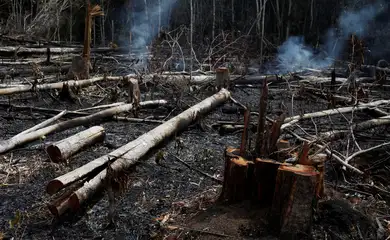 Governo federal lança leilão para recuperar terras degradadas