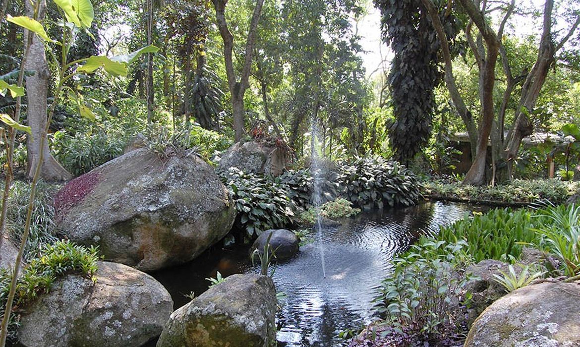 Sítio Burle Marx abriga coleção botânica e acervo do paisagista brasileiro Roberto Burle Marx, que em 1985 doou o local ao Instituto do Patrimônio Histórico e Artístico Nacional (Iphan)
