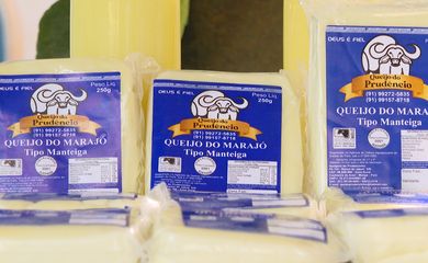 O queijo do Marajó