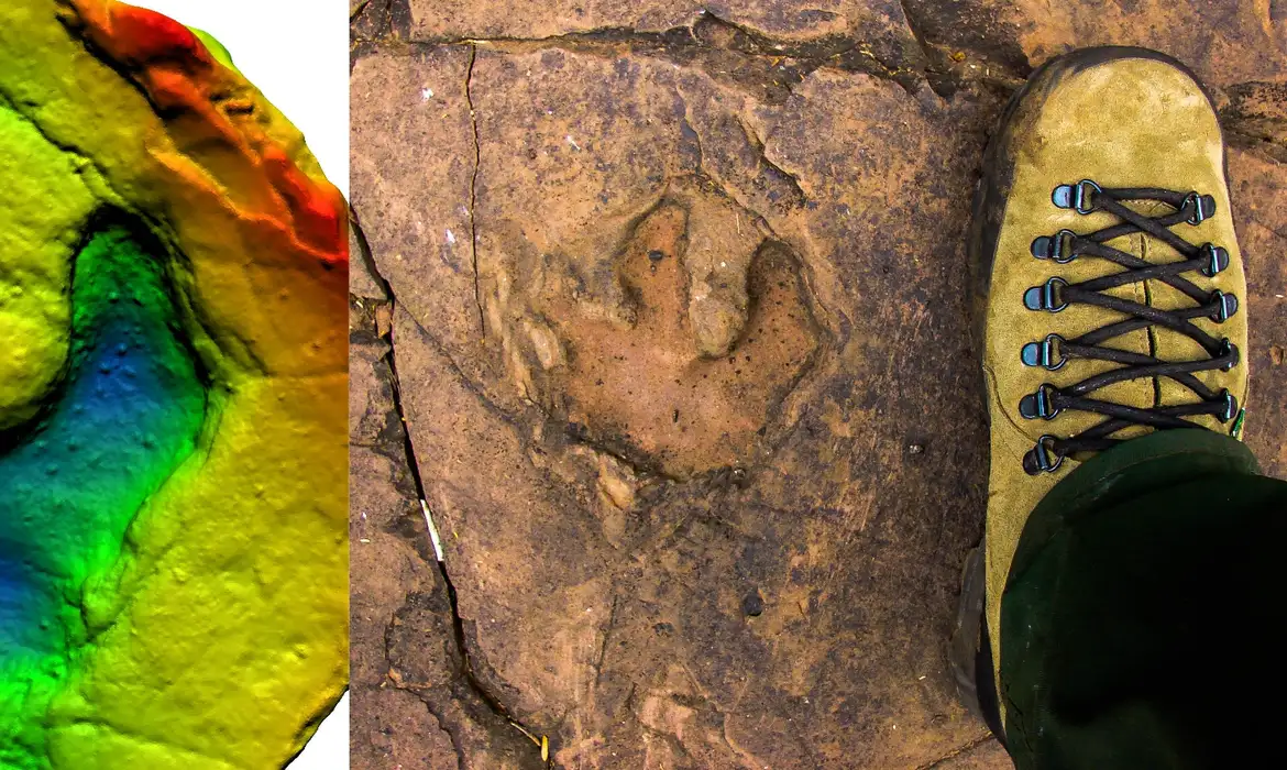 Modelo digital e foto de uma pegada fóssil de um pequeno dinossauro herbívoro.