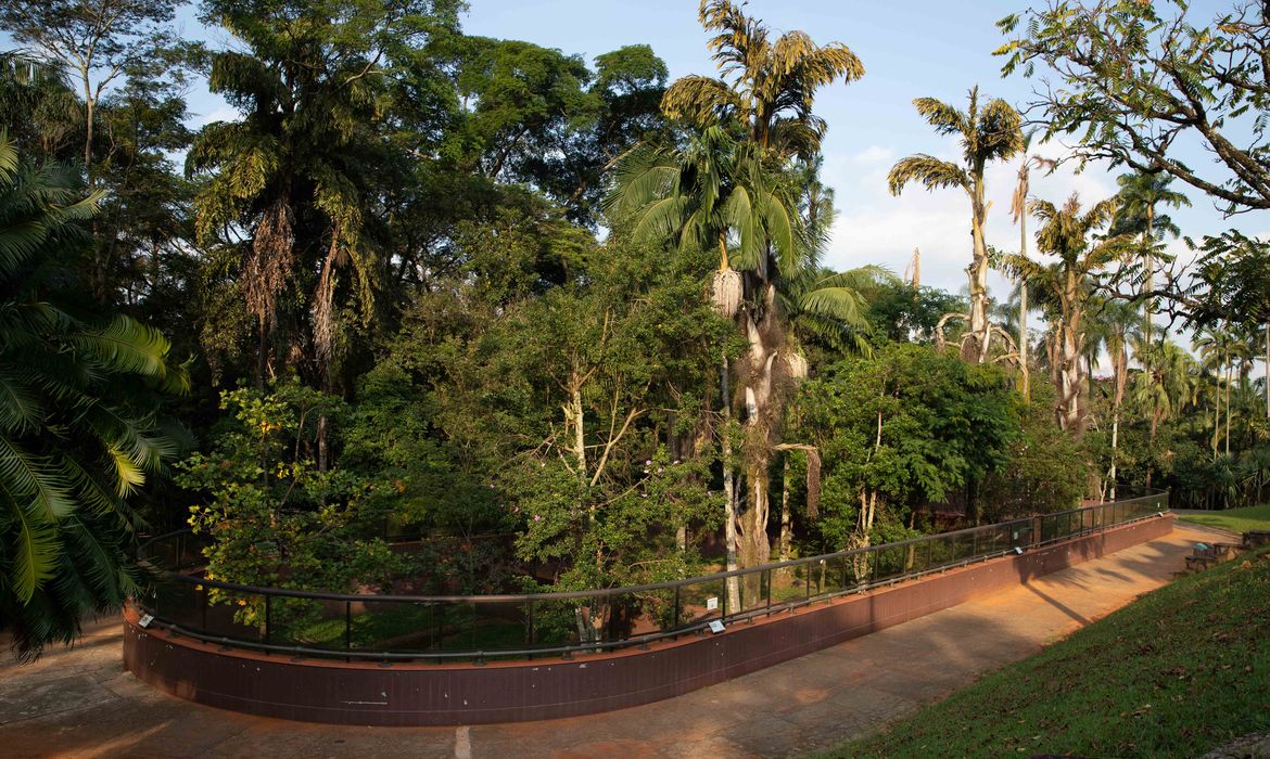 Parque da Ciência irá fechar todas as segundas; entenda o motivo